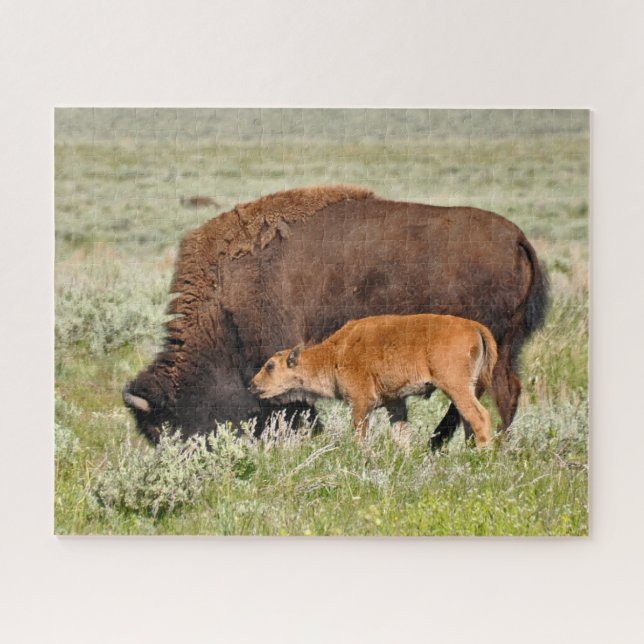 Bison Mama and Baby Design Puzzle (Horizontal)