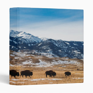 Bison Migration 3 Ring Binder