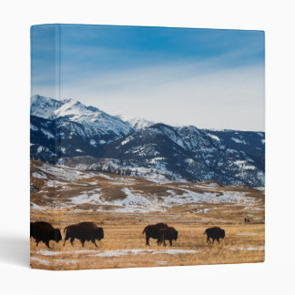 Bison Migration 3 Ring Binder