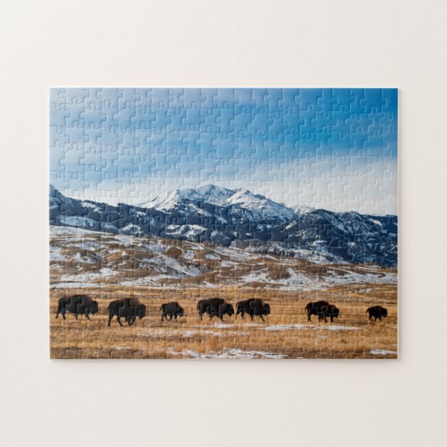 Bison Migration Jigsaw Puzzle (Horizontal)