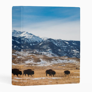 Bison Migration Mini Binder
