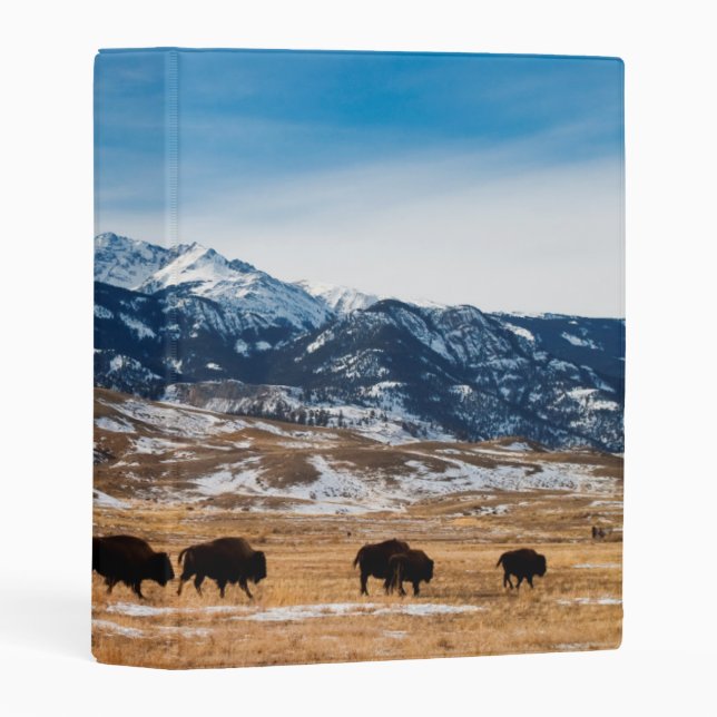 Bison Migration Mini Binder (Front/Spine)
