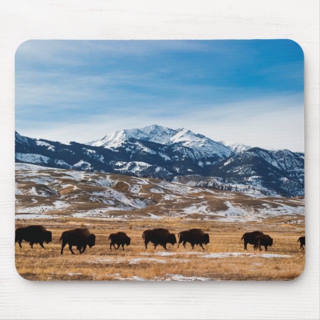 Bison Migration Mouse Pad (Front)