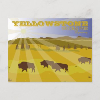 Bison Of Yellowstone National Park  Wyoming Postcard by cshphotos at Zazzle