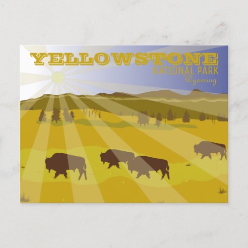 Bison of Yellowstone National Park Wyoming Postcard