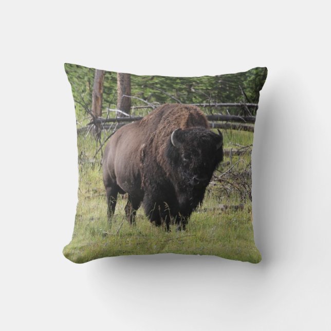 Bison of Yellowstone Photo Throw Pillow (Front)