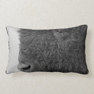 Bison or Buffalo Pillow