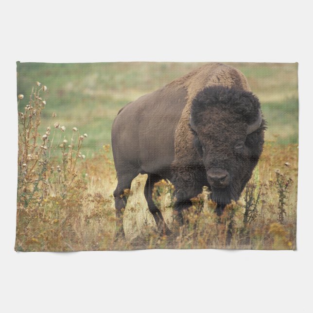 Bison photo kitchen towel (Horizontal)
