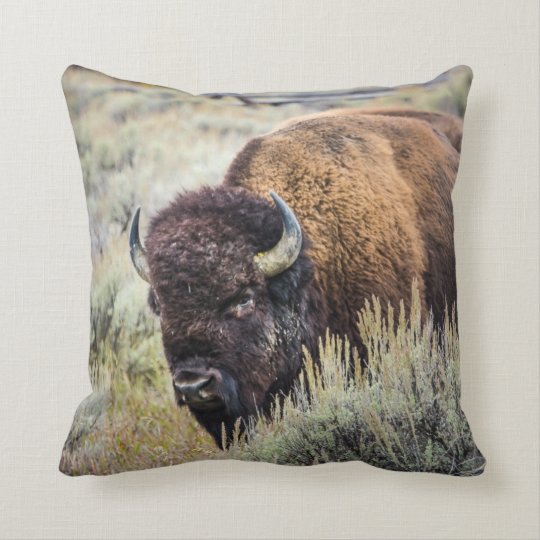 buffalo pillow pet