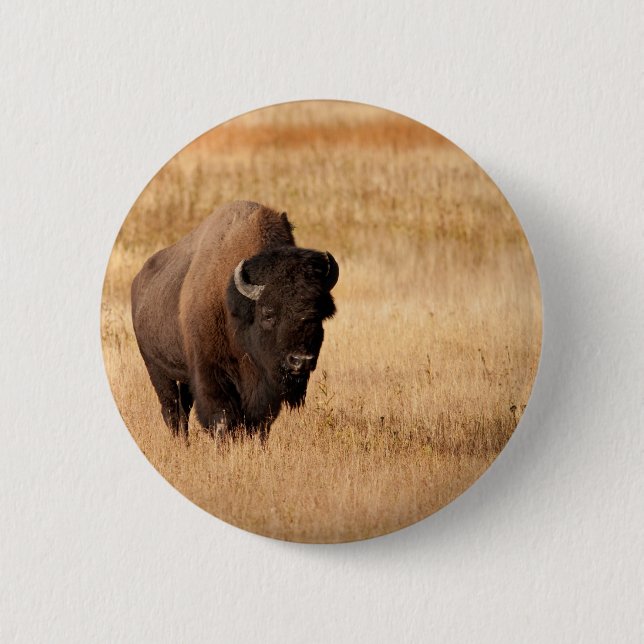 Bison Pinback Button (Front)