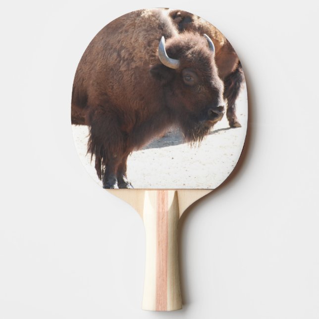Bison Ping-Pong Paddle (Front)