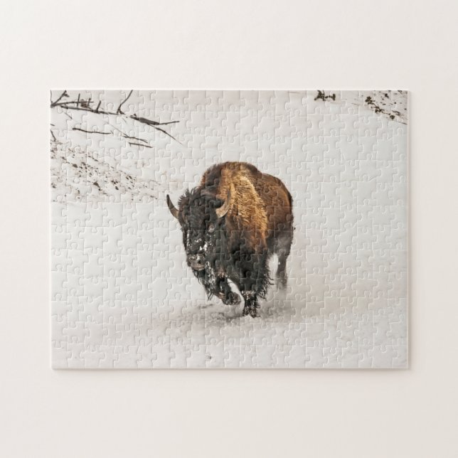 Bison Plodding Through Snow - 252 piece Jigsaw Puzzle (Horizontal)