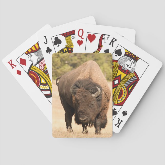 Bison Poker Cards (Back)