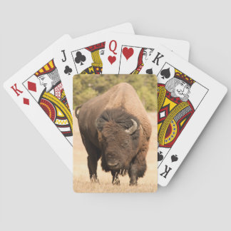 Bison Poker Cards