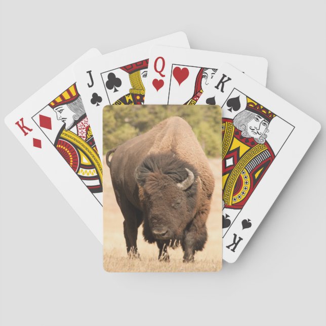 Bison Poker Cards (Back)