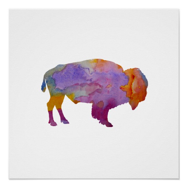 Bison Poster (Front)