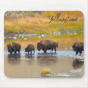 Bison River Crossing Yellowstone National Park Mouse Pad