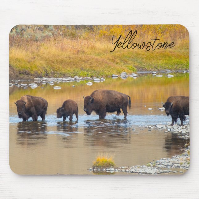 Bison River Crossing Yellowstone National Park Mouse Pad (Front)