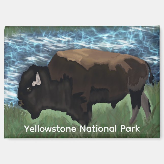 Bison Roaming Through Yellowstone National Park Magnet (Front)