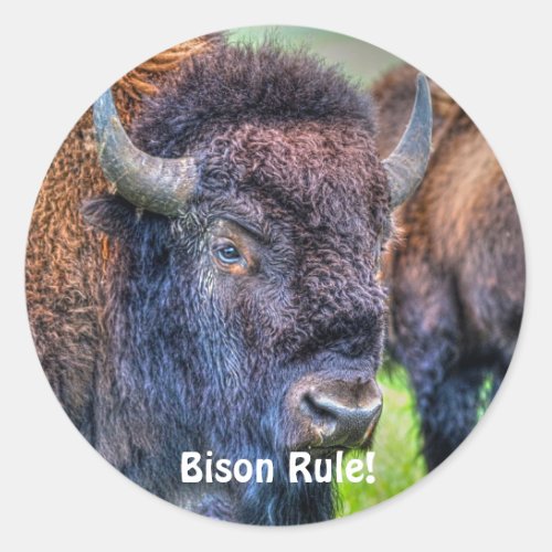Bison Rule Buffalo_Lover Art Stickers