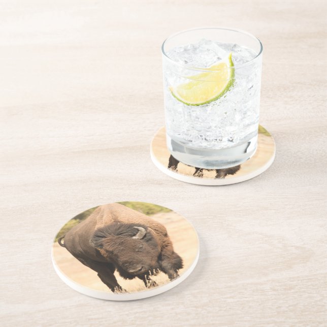 Bison Sandstone Coaster (Side)