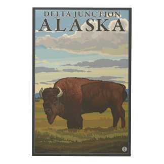 Bison Scene - Delta Junction, Alaska Wood Wall Art