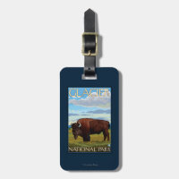 Bison Scene - Glacier National Park, MT