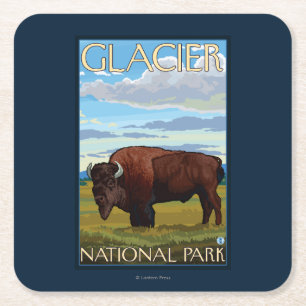Bison Scene - Glacier National Park, MT Square Paper Coaster