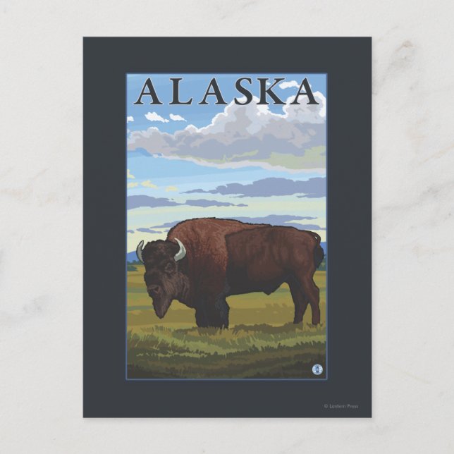 Bison Scene- Vintage Travel Poster Postcard (Front)