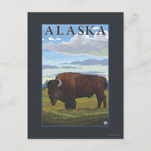 Bison Scene- Vintage Travel Poster Postcard