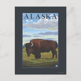 Bison Scene- Vintage Travel Poster Postcard