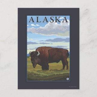 Bison Scene- Vintage Travel Poster Postcard