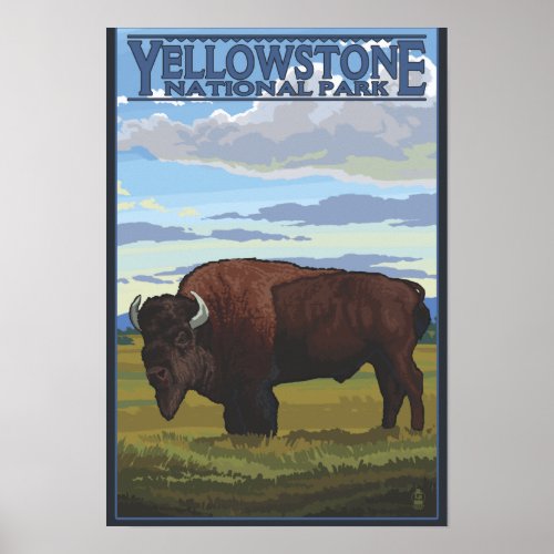 Bison Scene _ Yellowstone National Park Poster