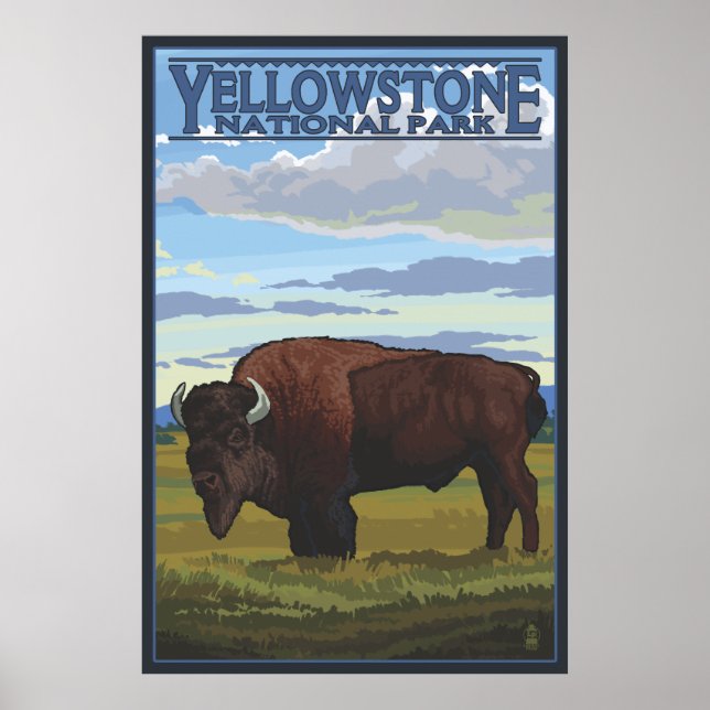 Bison Scene - Yellowstone National Park Poster (Front)
