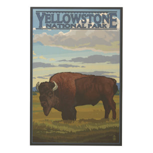 Bison Scene - Yellowstone National Park Wood Wall Art