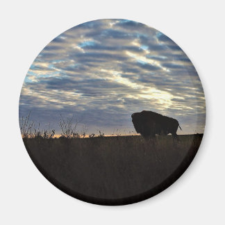 Bison Silhoutte Magnet