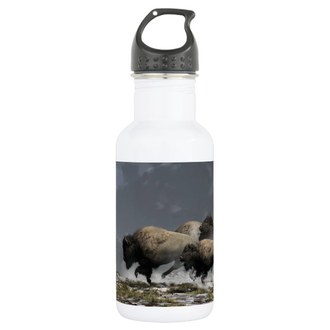 Bison Stampede Water Bottle (Front)