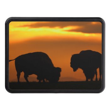 Bison Sunset Tow Hitch Cover by WorldDesign at Zazzle