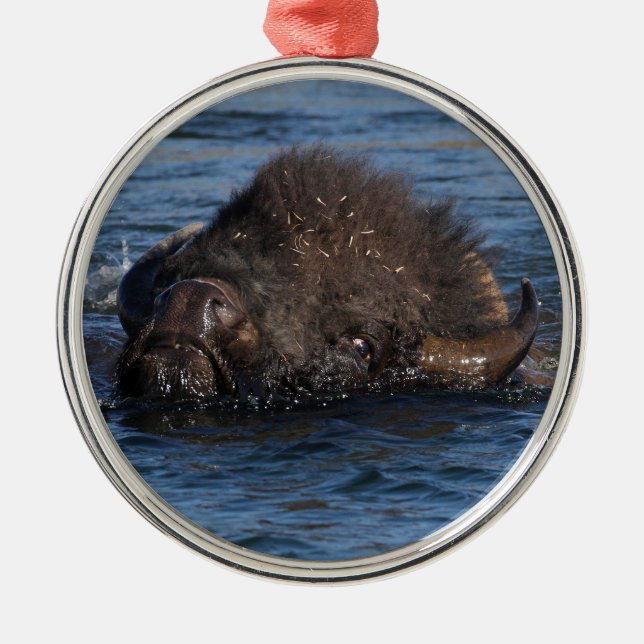 bison swimming metal ornament (Front)