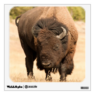 Bison Wall Sticker