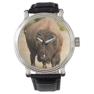Bison Watch