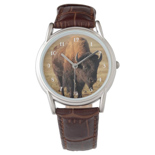 Bison Wildlife Watch (Front)