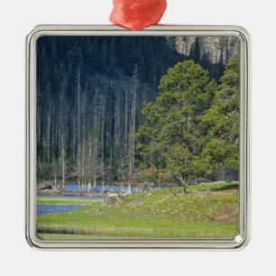 Bison with calf at Yellowstone National Park Metal Ornament