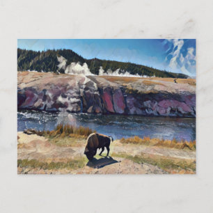 Bison Wyoming Yellowstone Wildlife Art Postcard