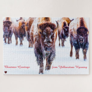 Bison Yellowstone Wyoming Jigsaw Puzzle