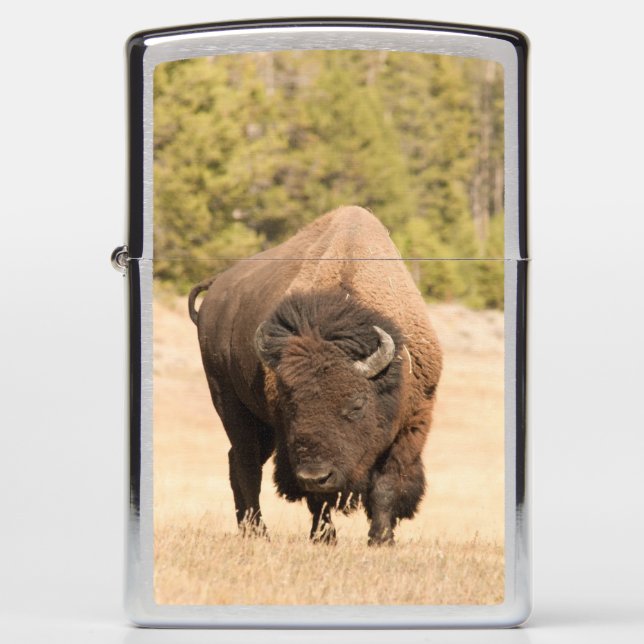Bison Zippo Lighter (Front)