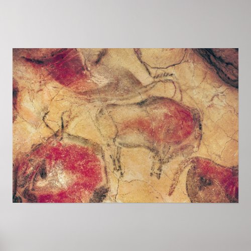 Bisons from the Caves at Altamira c15000 BC Poster