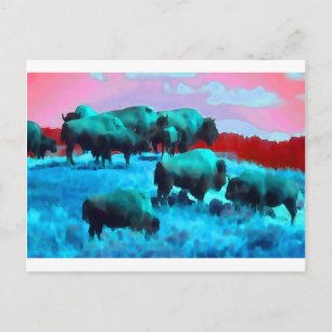 Bisons Postcard