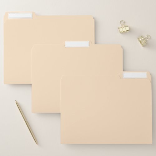 Bisque solid color  file folder