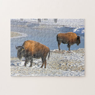 Bisson Montana. Jigsaw Puzzle